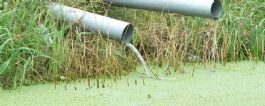 Beperken zuiveringskosten bij verplichte waterzuivering glastuinbouw