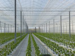 Reference: New-build greenhouse Nürnberg