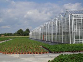Nieuw beleid grondwateronttrekkingen glastuinbouw, teelt in tunnels en pot- en containervelden