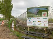 Nieuwbouw aardbeienbedrijf te Belfeld