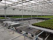 Nieuwbouw pot- en perkplantenbedrijf Schweinfurt