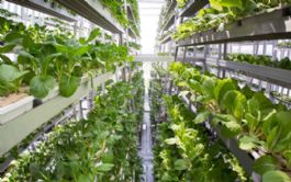 Openstelling Subsidie Provincie Noord-Brabant voor investering in innovatie en modernisering van agrarische ondernemingen