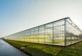 Referentie: Uitdagingen nieuw GLB tuinbouwbedrijven