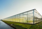 Uitdagingen nieuw GLB tuinbouwbedrijven