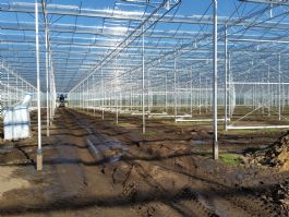 Vergunning Wet natuurbescherming glastuinbouw